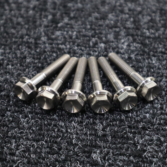 Polaris P22 Titanium Clutch Cover Bolts